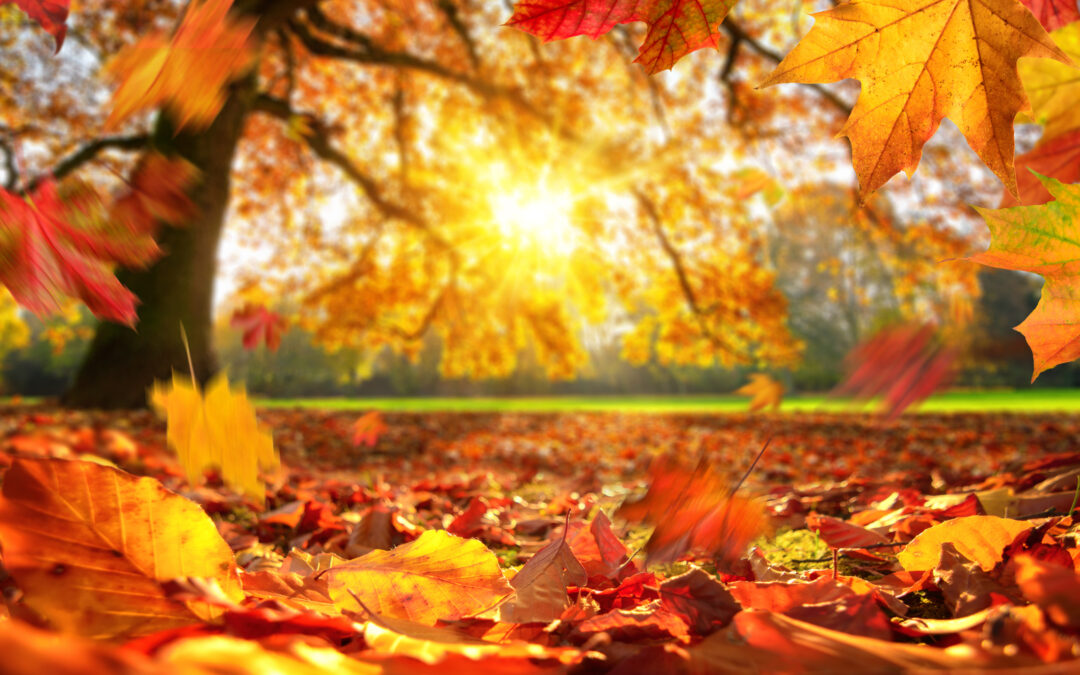 Fall Back in Love With Nursing